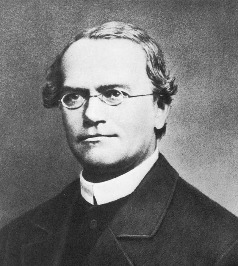 Gregor Mendel Portrait